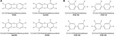 Sex-specific Associations Between Type 2 Diabetes Incidence and Exposure to Dioxin and Dioxin-like Pollutants: A Meta-analysis